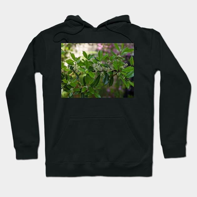 Green and White Blooms on a Branch Hoodie by AustaArt